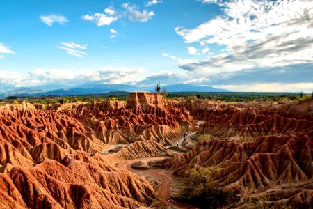Tour Desierto de la Tatacoa